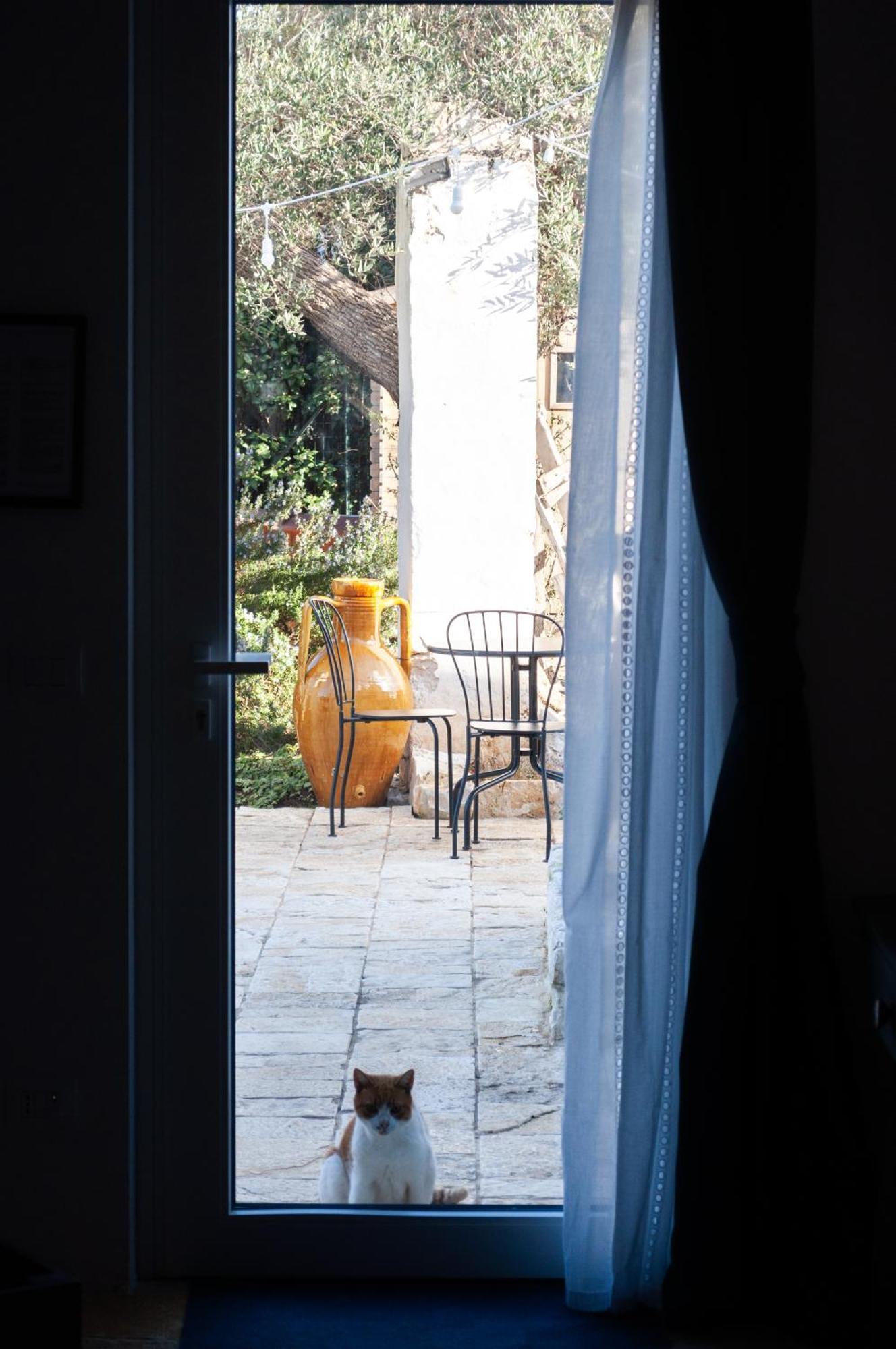 Bed and Breakfast Casale Petrarolo Монополи Экстерьер фото